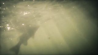 Viridiana Bravo, Venezia Zavala - Eros (2016) Nude sexy videos