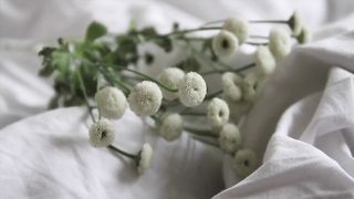 Anna Elise Martesen, Hanna Bjorndal - Naken (2016) Hot film scenes