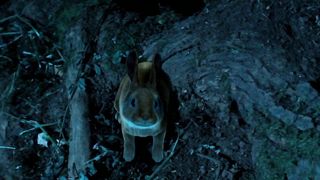 Dani Thompson - Cute Little Buggers (2017) Naked movie video