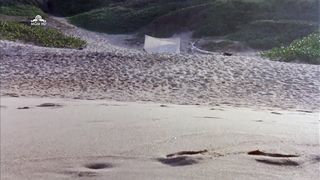 Jenilee Harrison, Jennifer Steyn - Curse III Blood Sacrifice (1991) Hot movie video