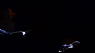 Jill Connick - Malady (2015) Hot movie video