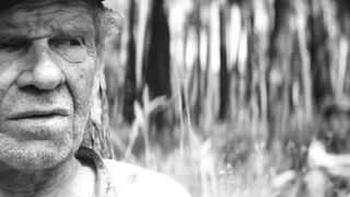 Jitka Cvancarova – Nabarvene ptace (2019) Nude actress