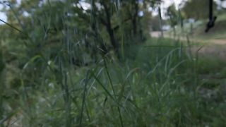 Julie Venturelli, Luna Miti - Le vent dans vos cheveux (2017) Hot movie video