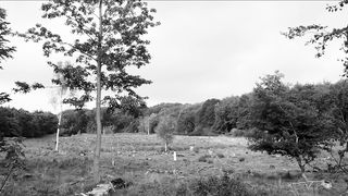 Natalie Dinesen - Nokken (2015) Hot 1080.