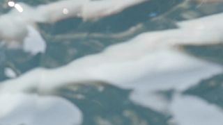 Sally Paton - Lower Plenty Garden Views (2016) Sexy movie scene