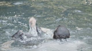 Sally Paton - Lower Plenty Garden Views (2016) Sexy movie scene