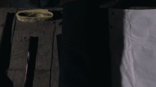 Sofia Pauly, Holli Dillon - My Little Sister (2016) Naked movie video