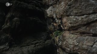 Stephanie Amarell, Emma Drogunova - Die Familie (2017) Naked movie scenes