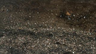 Blake Lively - The Rhythm Section (2020) Censorship naked video