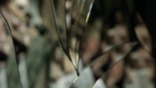 Emilie Dequenne - La ravisseuse (2005) Сut videos