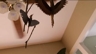 Jessa Peters, Amber McConnell, sexy actress - Song to Song (2017) Сut naked video