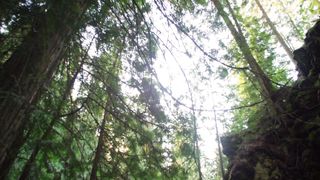 Laura Bilgeri, sexy actress - The Recall (2017) Censorship naked video