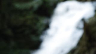 Laura Bilgeri, sexy actress - The Recall (2017) Censorship naked video