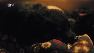 Naomi Achternbusch, Clara Schramm - Blind _ Hasslich (2017) sexy nude scene