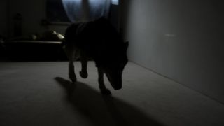 Lilith Stangenberg - Wild (2016) celebrity hot movie scene