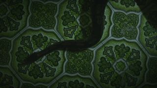 Marilyn Castonguay - Wild Skin (2016) celeb topless scenes