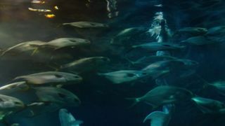 Marilyn Lima - Une sirene a Paris (2020) celeb naked