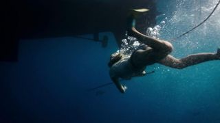 Shailene Woodley - Adrift (2018) celebs hot scene