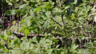 Catherine_Carlen__Deborah_Ann_Woll_-_The_Automatic_Hate (2015)