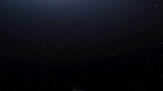 Hannah Gross - Falling (2020) actress sexy