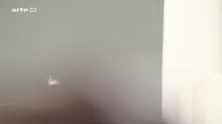 Isabel Thierauch - Die Stille (2015) celebrity hot scene