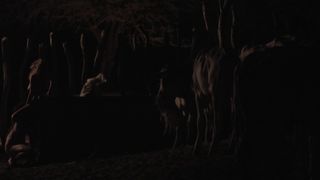 Maeve Jinkings - Boi neon (2015) celeb hot scene