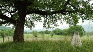 Diane Rouxel, Nathalie Tetrel - Fou D'Amour (2015) celebs sexy