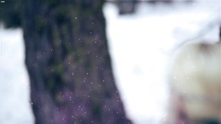 Gemma Donato topless - Sleeping_Beauty (2014)