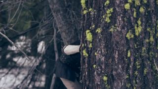 Gemma Donato topless - Sleeping_Beauty (2014)