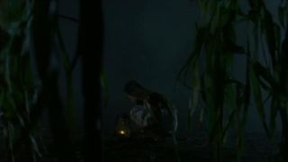 Mariam Buturishvili - Simindis kundzuli (Corn Island) (2014) actress hot video scene