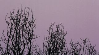 Nicole Branch - Gravitate (2014) celeb sexy